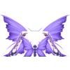 Purple Moth Wings
