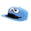 Cookie Monster Hat...