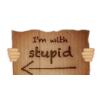 I'm with Stupid