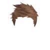 Brown Spiky Hair