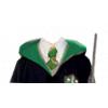 Harry Potter  ~ Slytherin Robes & Wand