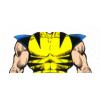 Wolverine Outfit