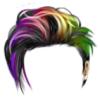 Rainbow Joker Hair