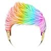 Rainbow Niall Hair