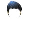 Niall Hair with Blue Tip