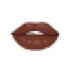 Brown Matte Lips
