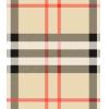 Burberry background