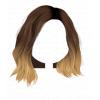 Kylie Hair - Brown Ombre