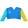 Champion Colorblock Cropped Hoodie
