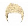 Blonde Niall Hair