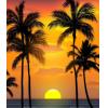 Sunset Tropical Background