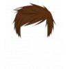 Brown Swoosh Hair