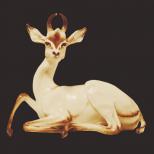 Golden Gazelle