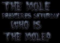 The Mole Minecraft 1 (Saturday!)