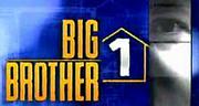 Big Brother 1: Anything Goes
