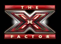 the x factor uk season 2: auditions