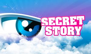Secret Story(Gen 2):[On hiatus]