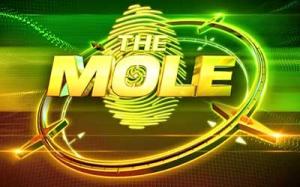 JGF S3: The Mole