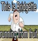 Bridgette's Fitness Program