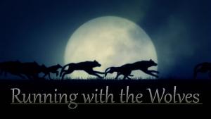 Running with the Wolves: Council