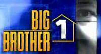 Big Brother 1: Surprise