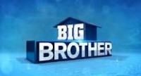 Big Brother Skype Game!