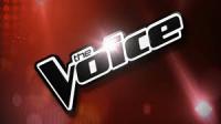 The Voice Season 1.