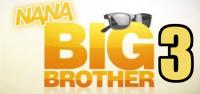 Big Brother Nanas