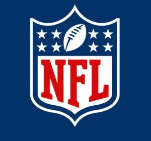 Sparky's NFL Blog Experience
