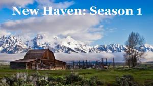 New Haven: Season 1 -CANCELLED-
