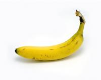 ~*The Sexy Bananas*~