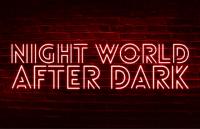 Night World: After Dark