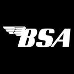 BSA 2.0