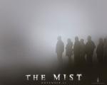 Paddy's Mist